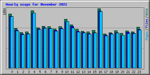 Hourly usage for November 2021
