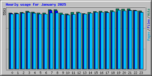 Hourly usage for January 2025
